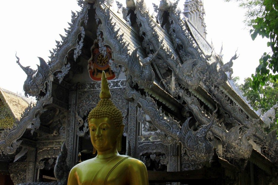 Photo of Rose Of The North - Chiang Mai, Thailand 11/14 by Srotoswini Svetlana Baghawan
