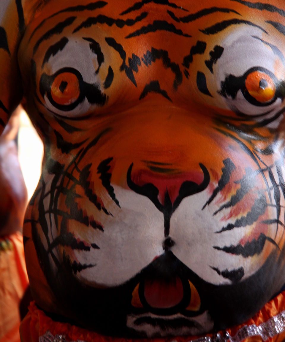 Photo of Thrissur Tigers 2/10 by Srotoswini Svetlana Baghawan