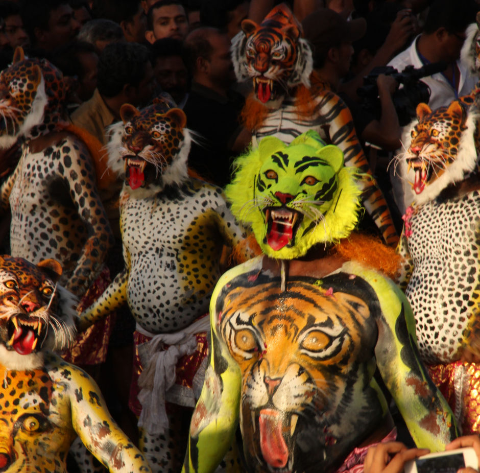 Photo of Thrissur Tigers 5/10 by Srotoswini Svetlana Baghawan