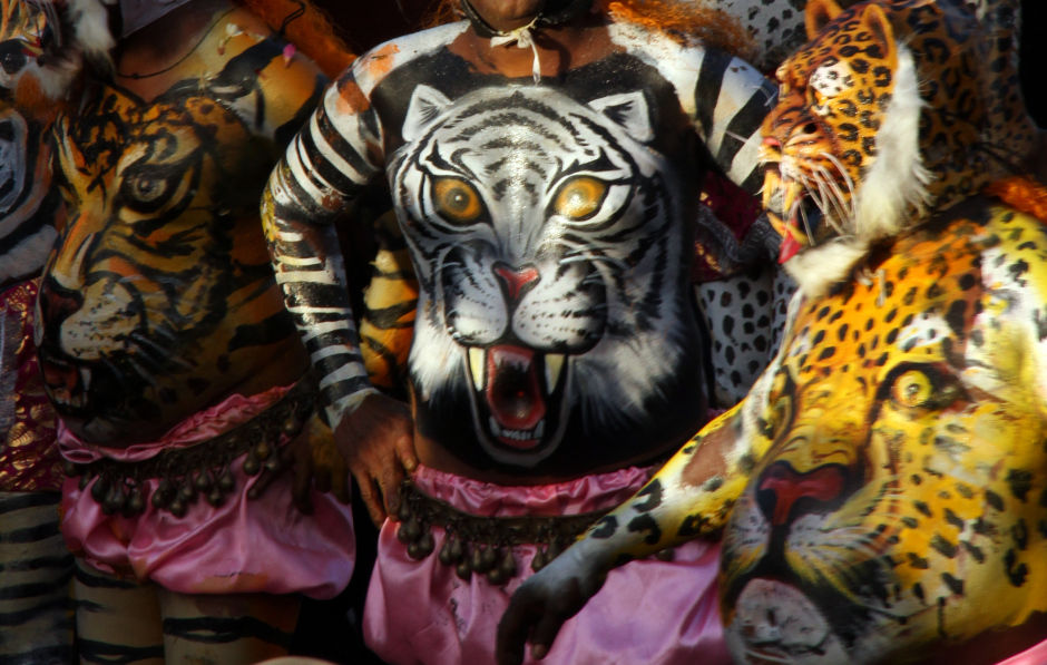 Photo of Thrissur Tigers 8/10 by Srotoswini Svetlana Baghawan