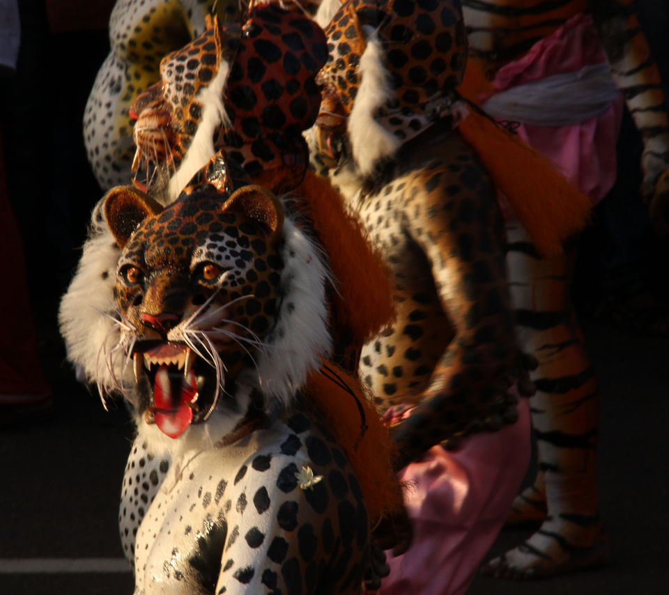 Photo of Thrissur Tigers 1/10 by Srotoswini Svetlana Baghawan