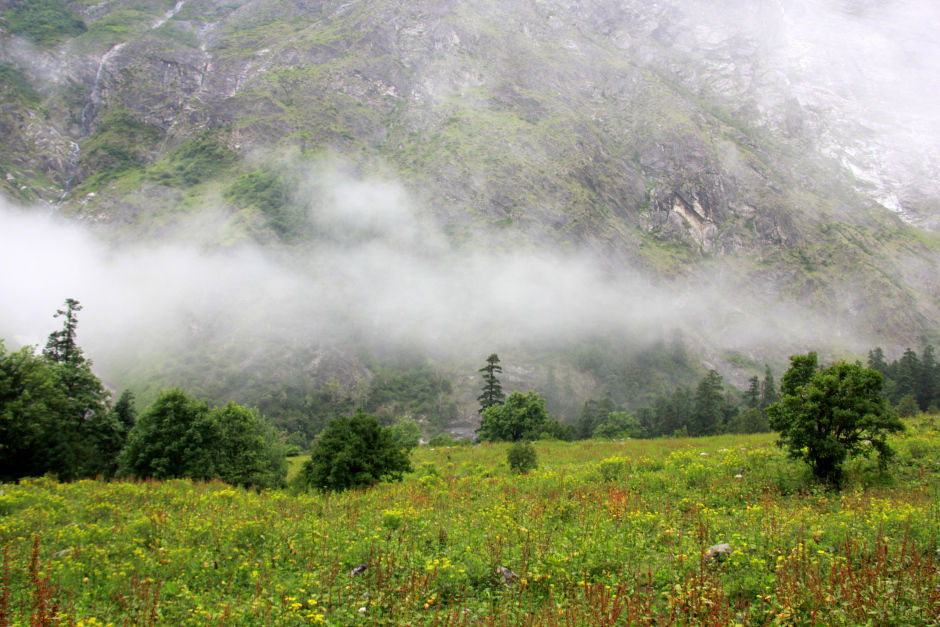Photo of DIY Valley of Flowers 31/51 by Srotoswini Svetlana Baghawan