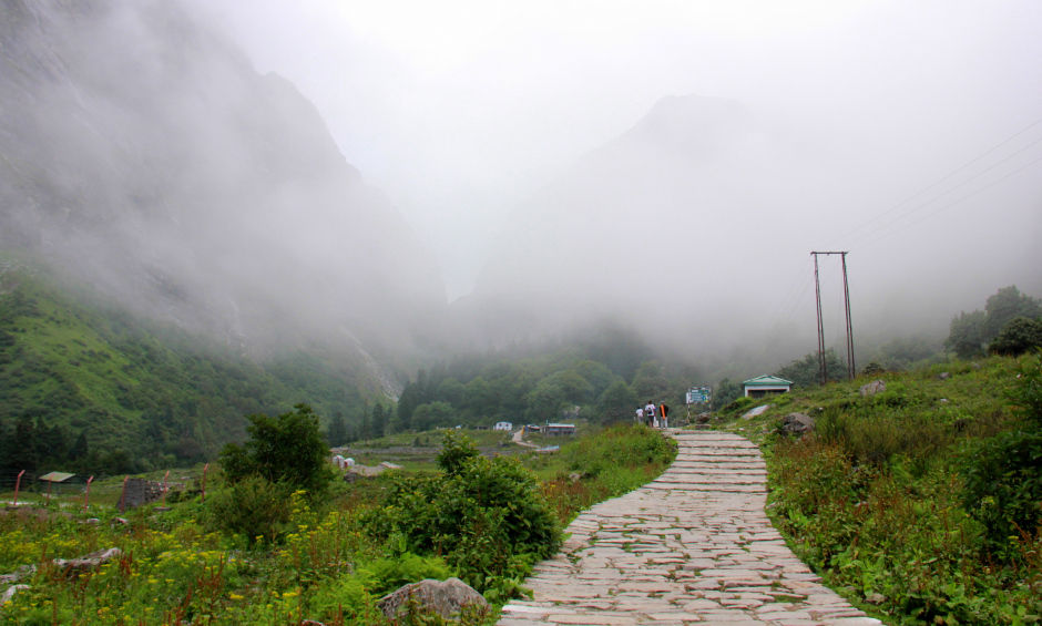 Photo of DIY Valley of Flowers 50/51 by Srotoswini Svetlana Baghawan