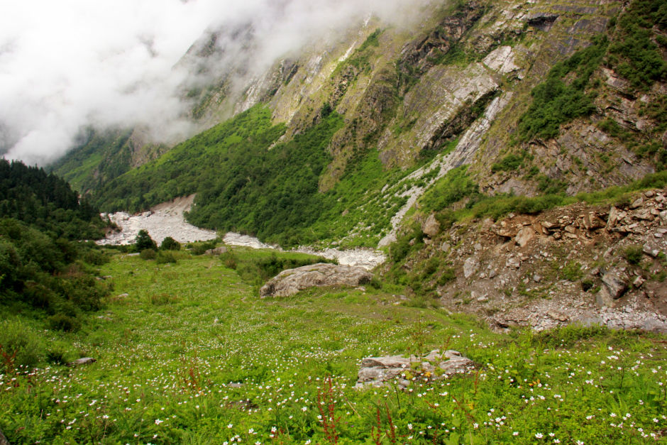 Photo of DIY Valley of Flowers 51/51 by Srotoswini Svetlana Baghawan