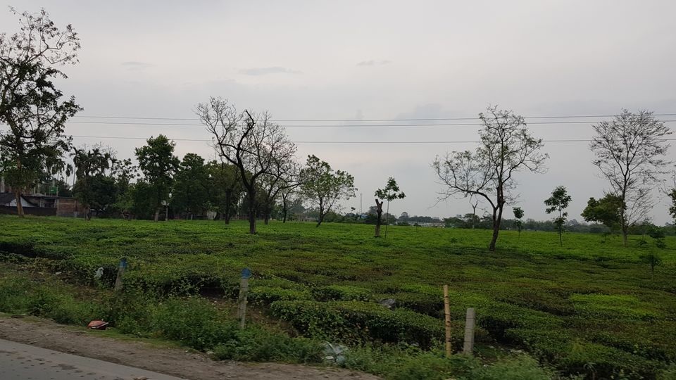 Photo of Bagdogra, West Bengal, India by Aswathy Nair