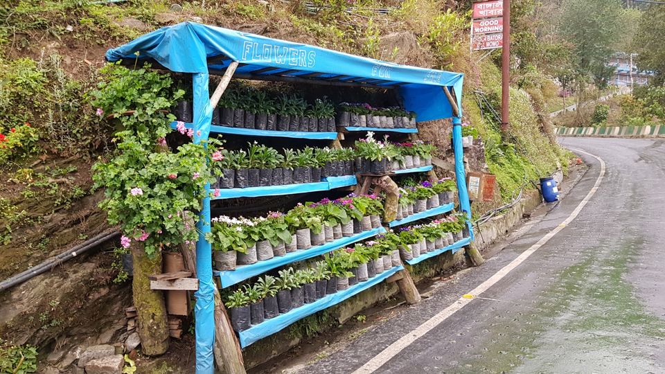 Photo of Darjeeling, West Bengal, India by Aswathy Nair