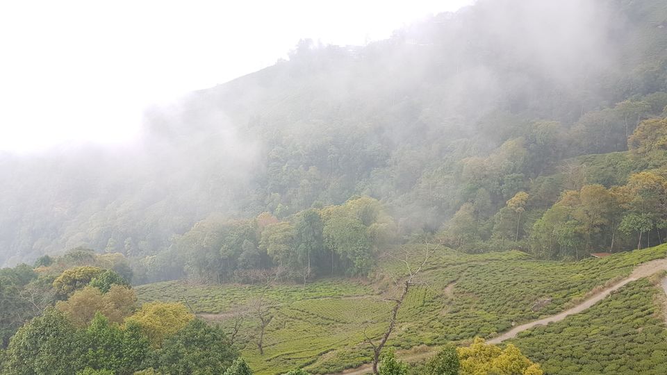Photo of Darjeeling, West Bengal, India by Aswathy Nair