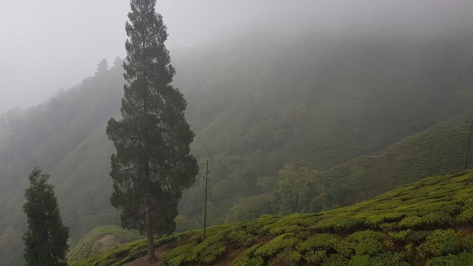 Photo of Darjeeling, West Bengal, India by Aswathy Nair