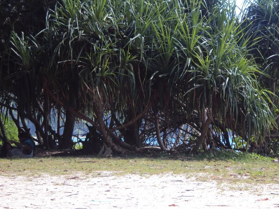 Photo of Andamans – A Trip to Remember 12/12 by Aswathy Nair