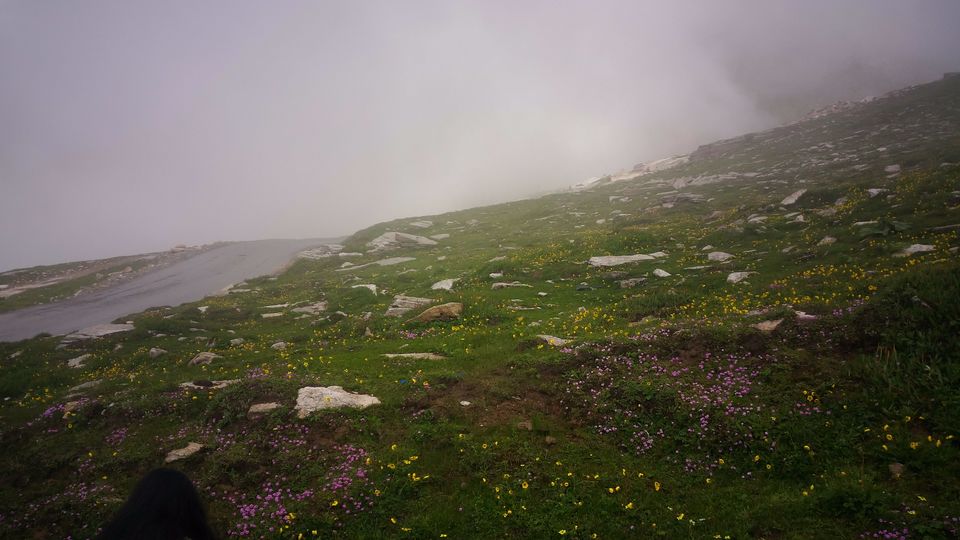 Photo of Weekend Getaway: Manali trip with your Girls Gang by Aswathy Nair