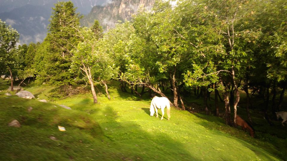 Photo of Weekend Getaway: Manali trip with your Girls Gang 11/17 by Aswathy Nair