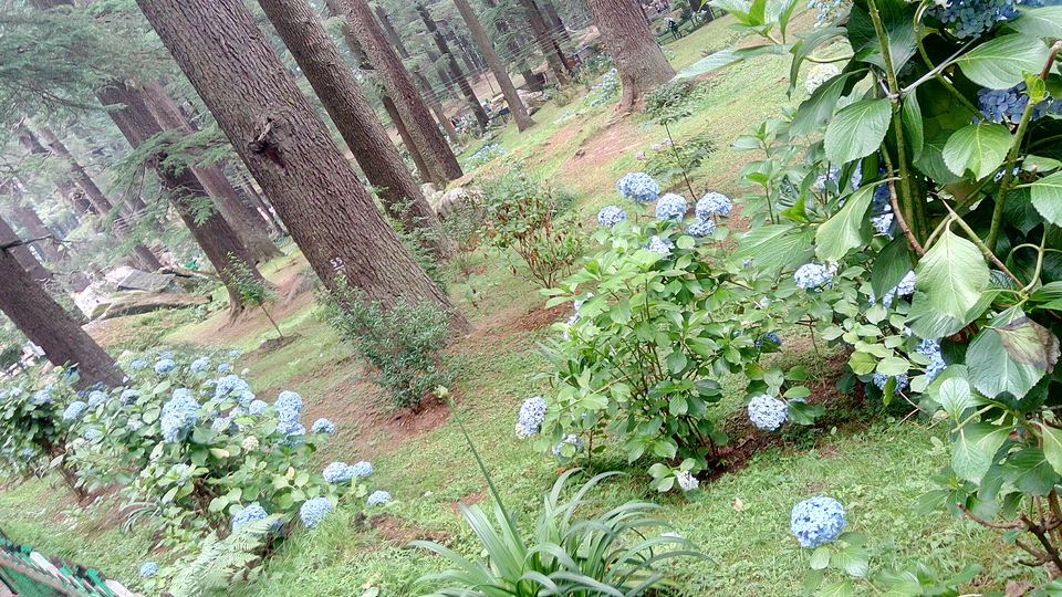 Photo of Weekend Getaway to Manali with your Girls Gang by Aswathy Nair