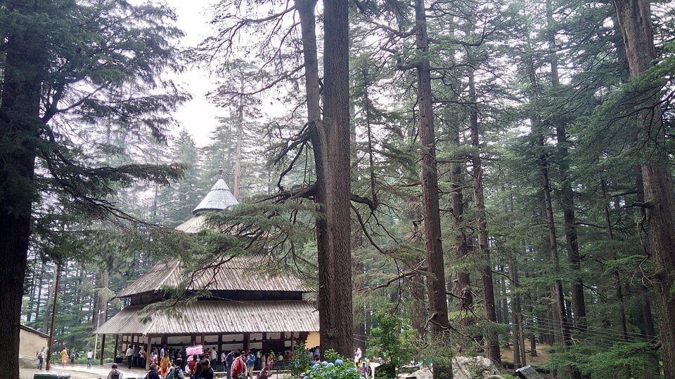 Photo of Weekend Getaway to Manali with your Girls Gang by Aswathy Nair