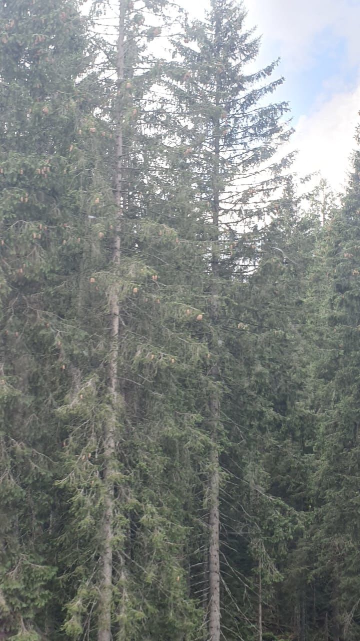 Photo of Switzerland by Aswathy Nair