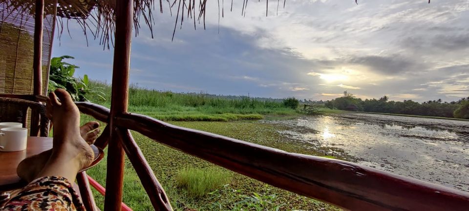 Photo of Coconut Lagoon - CGH Earth Resort, Kottayam - Kumarakom Rd, Kavanattinkara, Kumarakom, Kerala, India by Aswathy Nair