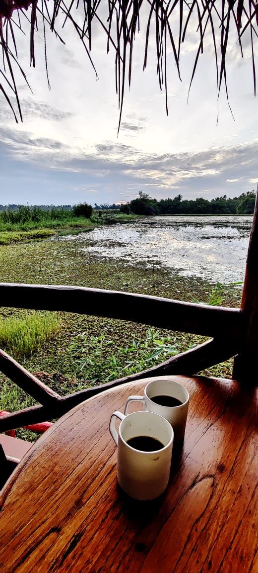 Photo of Coconut Lagoon - CGH Earth Resort, Kottayam - Kumarakom Rd, Kavanattinkara, Kumarakom, Kerala, India by Aswathy Nair