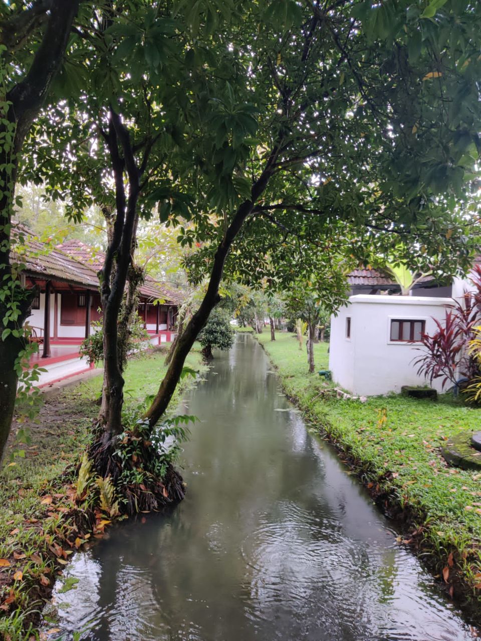 Photo of Coconut Lagoon - CGH Earth Resort, Kottayam - Kumarakom Rd, Kavanattinkara, Kumarakom, Kerala, India by Aswathy Nair