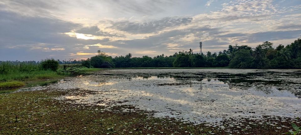 Photo of Coconut Lagoon - CGH Earth Resort, Kottayam - Kumarakom Rd, Kavanattinkara, Kumarakom, Kerala, India by Aswathy Nair