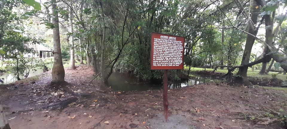 Photo of Coconut Lagoon - CGH Earth Resort, Kottayam - Kumarakom Rd, Kavanattinkara, Kumarakom, Kerala, India by Aswathy Nair