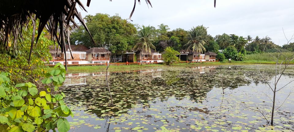 Photo of Coconut Lagoon - CGH Earth Resort, Kottayam - Kumarakom Rd, Kavanattinkara, Kumarakom, Kerala, India by Aswathy Nair