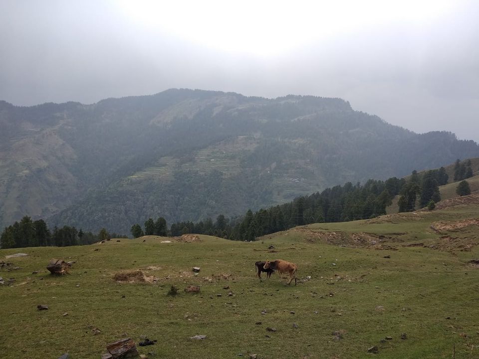 Photo of kasol, Bhuntar, Himachal Pradesh, India by Neha Bhatt (Pahadan)