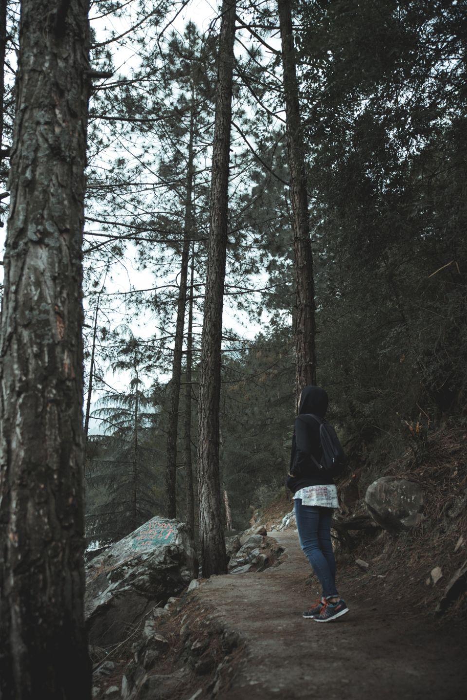 Photo of Chalal Trek Trail, Kullu, Himachal Pradesh, India by Neha Bhatt (Pahadan)