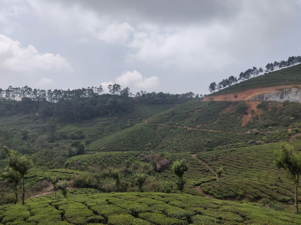 Photo of Kundala Dam, Munnar, Kerala, India by Divyangna Parikh