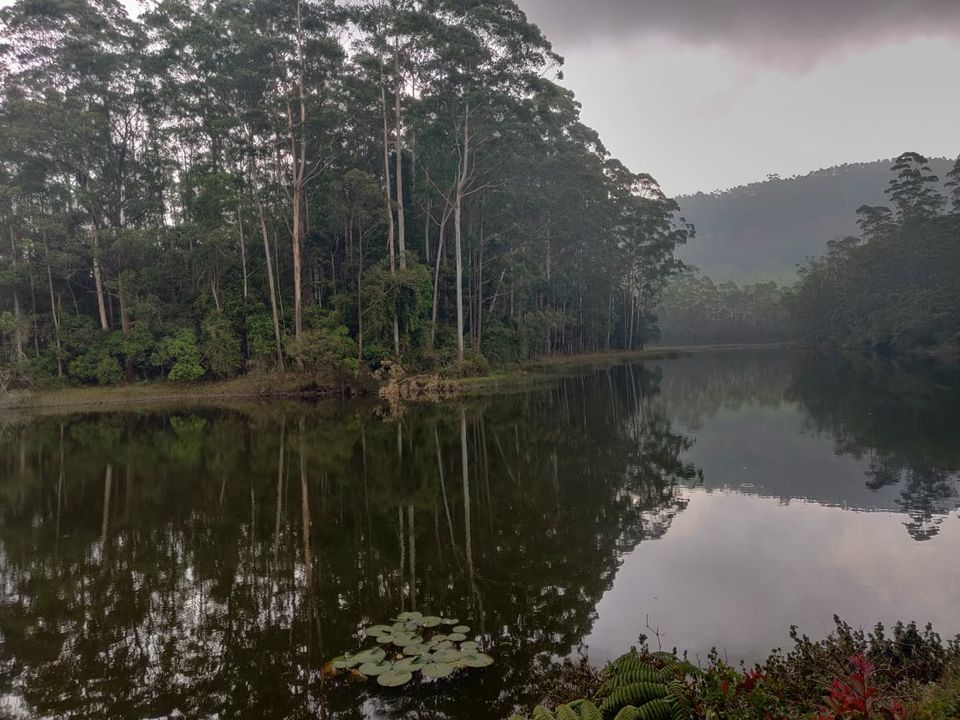 Photo of Sree Seetha LavaKusha Moolasthanam, Pulpally, Kerala, India by Divyangna Parikh