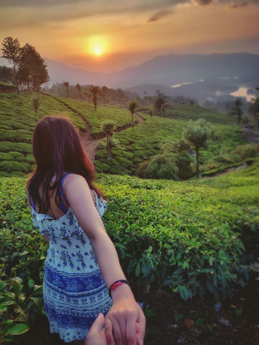 Photo of Kannan Devan Hills, Kerala, India by Divyangna Parikh