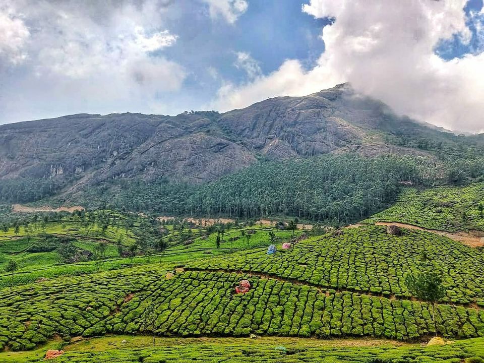 Photo of Kannan Devan Hills, Kerala, India by Divyangna Parikh