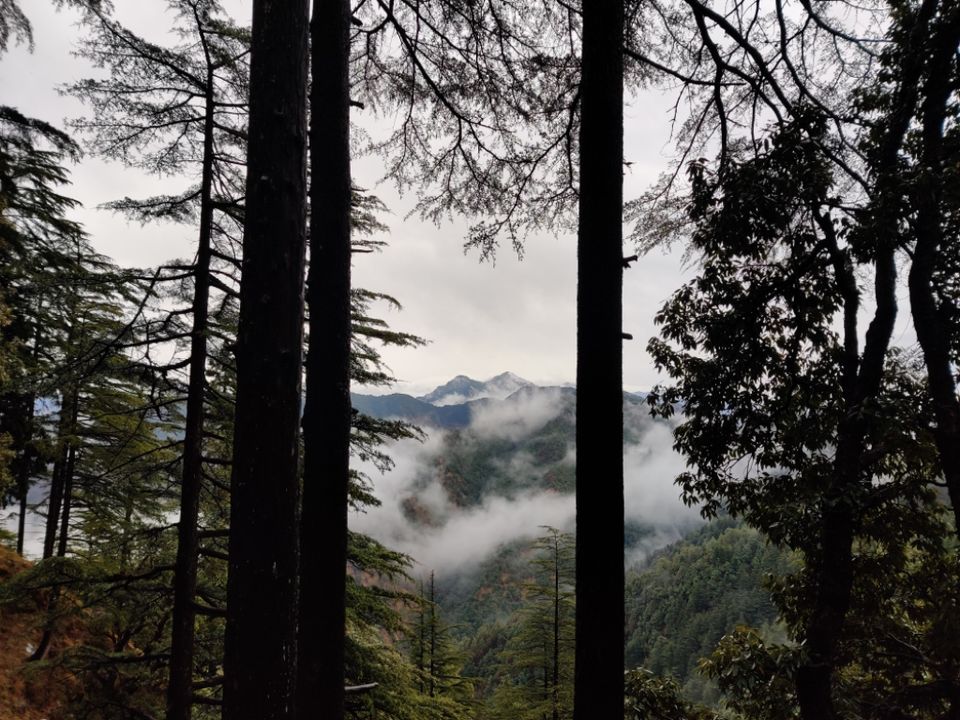 Photo of Landour by Divyangna Parikh