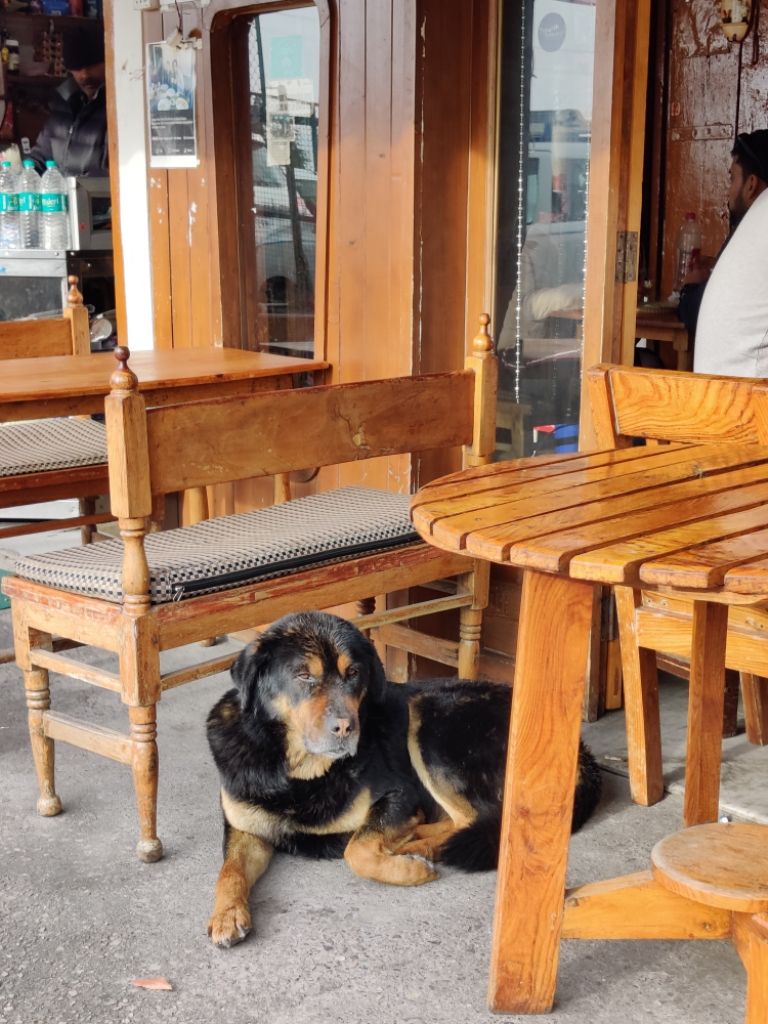 Photo of Landour by Divyangna Parikh