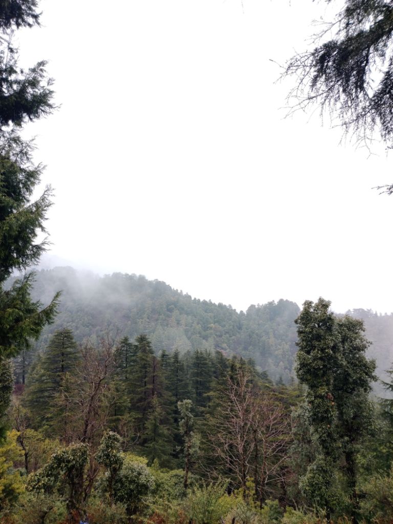 Photo of George Everest Peak by Divyangna Parikh