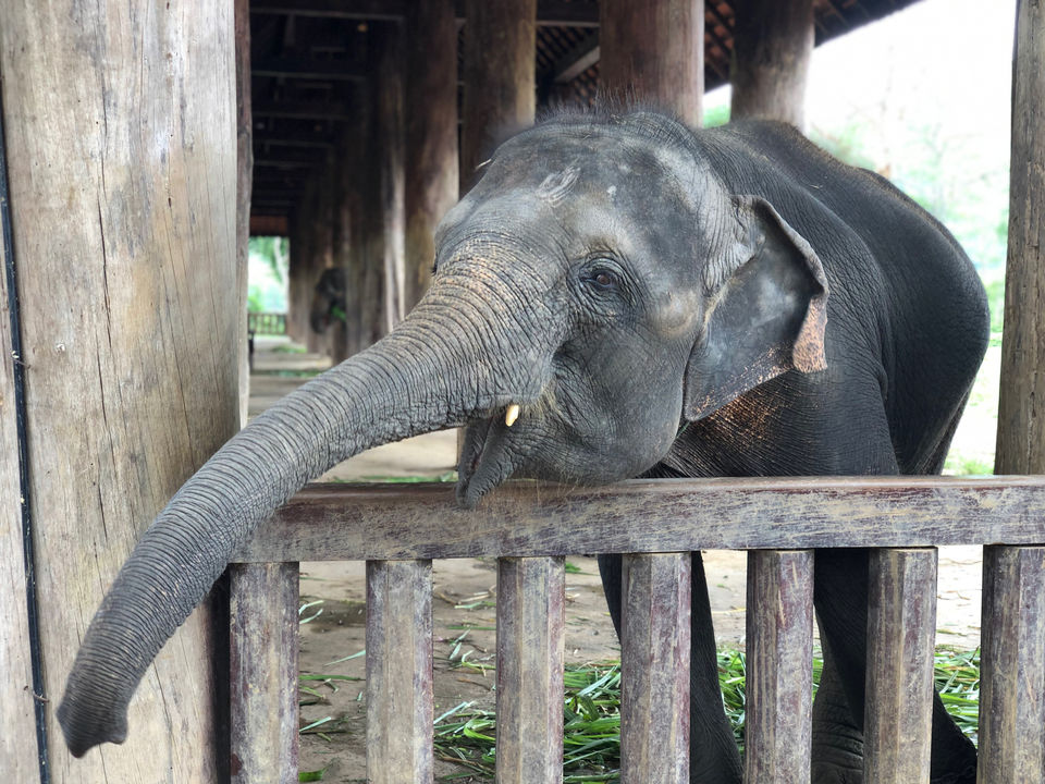 Photo of Budget Trip To Laos by Shahzad Brat