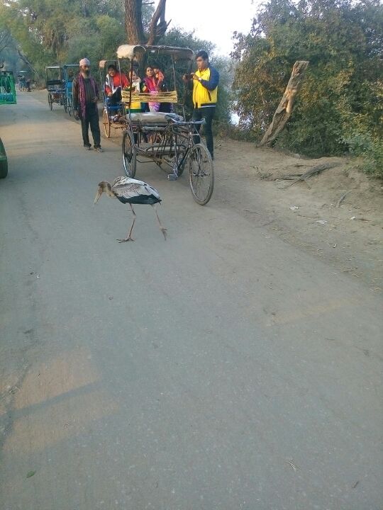 Photo of A road leads to adventure by Nischal Chauhan