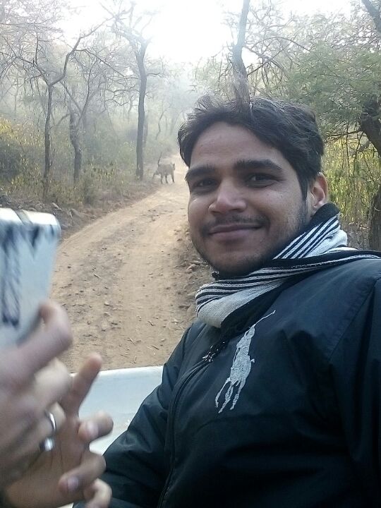 Photo of Near Kraska, Alwar District, Sariska, Rajasthan 301001, India by Nischal Chauhan
