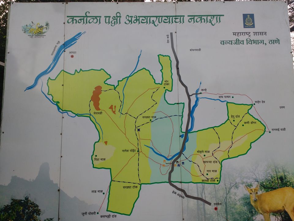 Photo of Biking excursion to Karnala Fort 14/15 by Nischal Chauhan