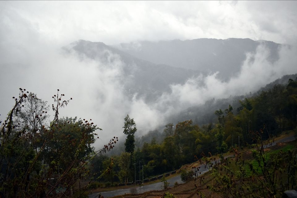 Photo of Rishi Khola, West Bengal by Kasturi Mitra