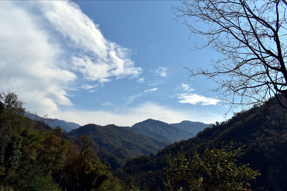 Photo of Rishi Khola, West Bengal by Kasturi Mitra