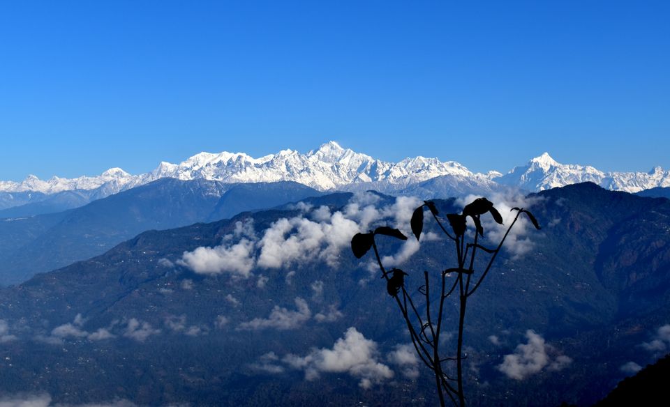 Photo of Sillery Gaon Peak View, Sillery Gaon, West Bengal, India by Kasturi Mitra