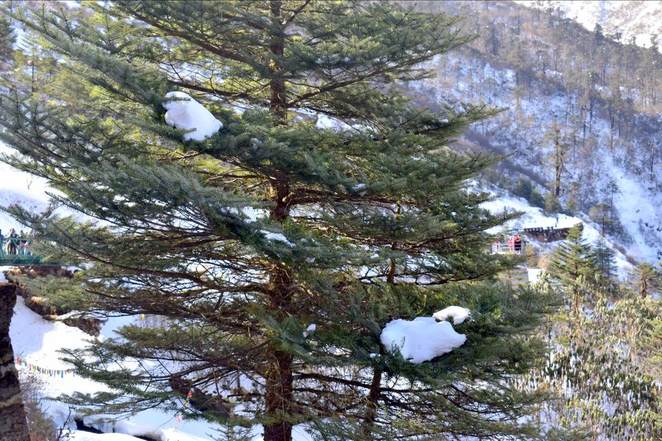 Photo of Katao, Sikkim, India by Kasturi Mitra