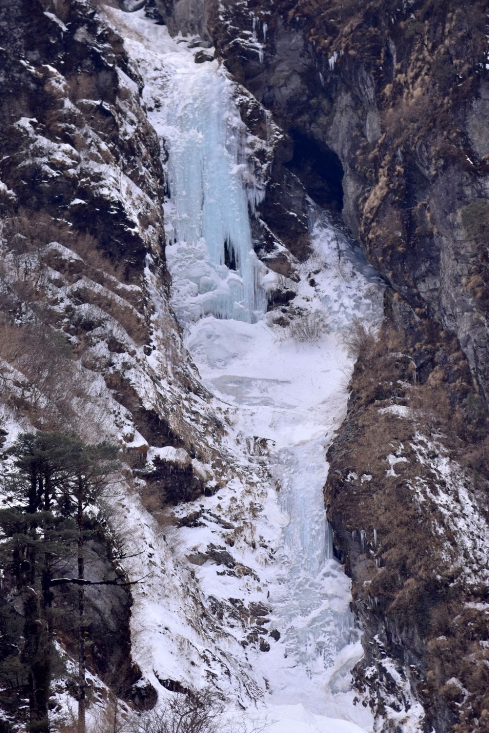 Photo of Yumthang, Sikkim, India by Kasturi Mitra