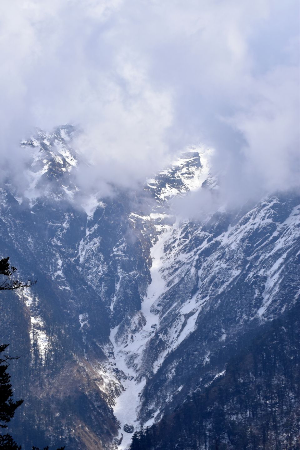 Photo of Yumthang, Sikkim, India by Kasturi Mitra