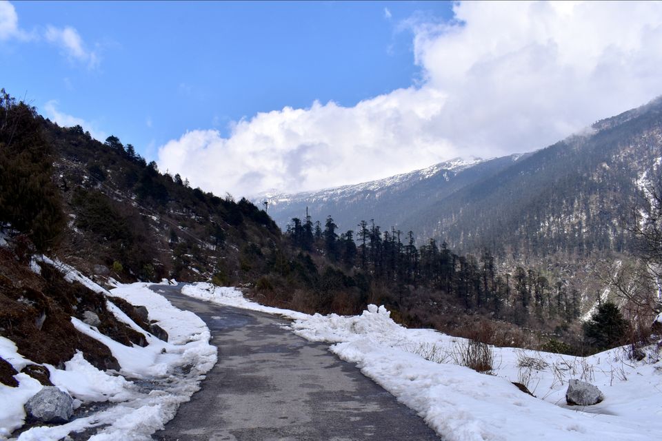 Photo of Yumthang, Sikkim, India by Kasturi Mitra