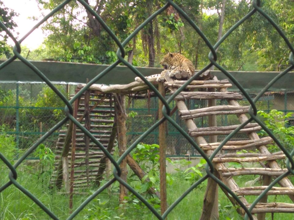 Photo of Jhargram Mini Zoo, Jhargram, West Bengal, India by Kasturi Mitra