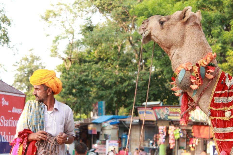 Photo of UDAIPUR- Venice of the East 7/25 by Santa Jocita