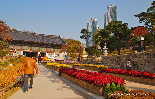 Photo of The heart of South Korea- Seoul 16/17 by Santa Jocita