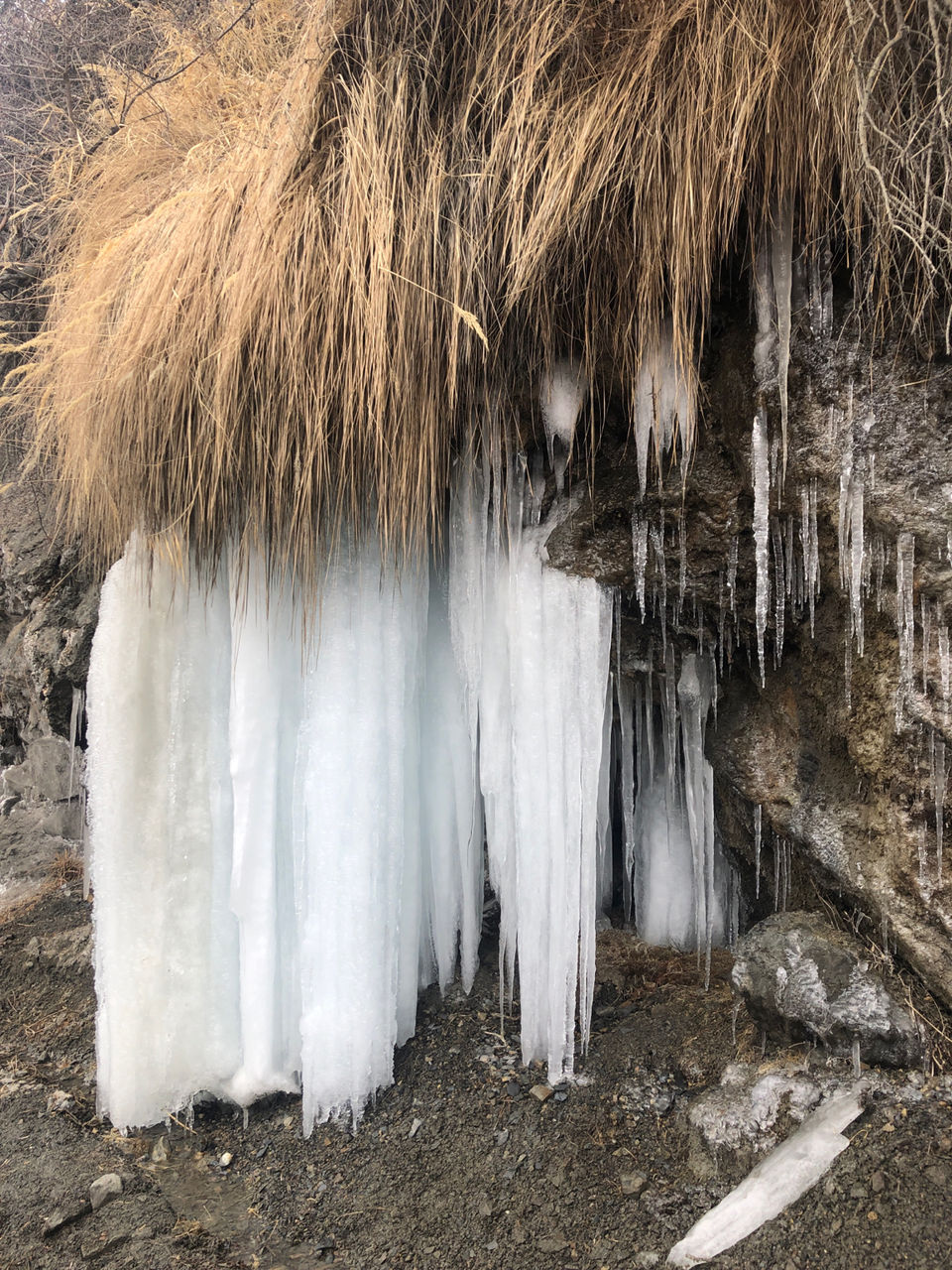 Photo of Winter Spiti: An Experience Of Lifetime by Gagan Bains
