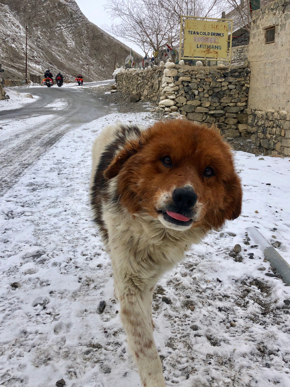 Photo of Winter Spiti: An Experience Of Lifetime by Gagan Bains