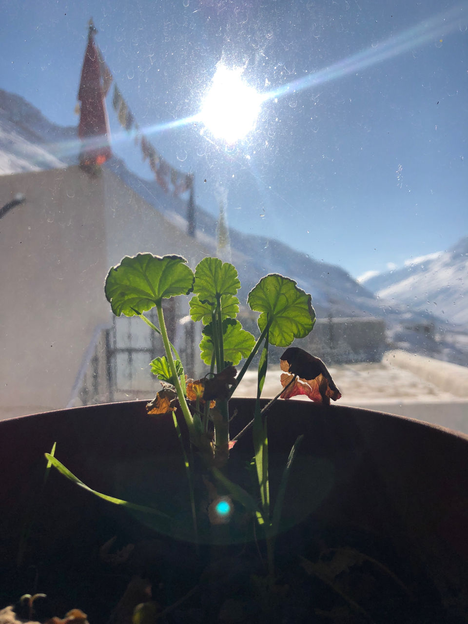 Photo of Winter Spiti: An Experience Of Lifetime by Gagan Bains